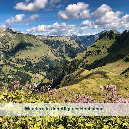 Chalet - Ferienwohnungen - Biohof Stoeger - Panoramasuedbalkon - Grandiose Aussicht Auf See, Berge Und Schloss Neuschwanstein ريدن المظهر الخارجي الصورة