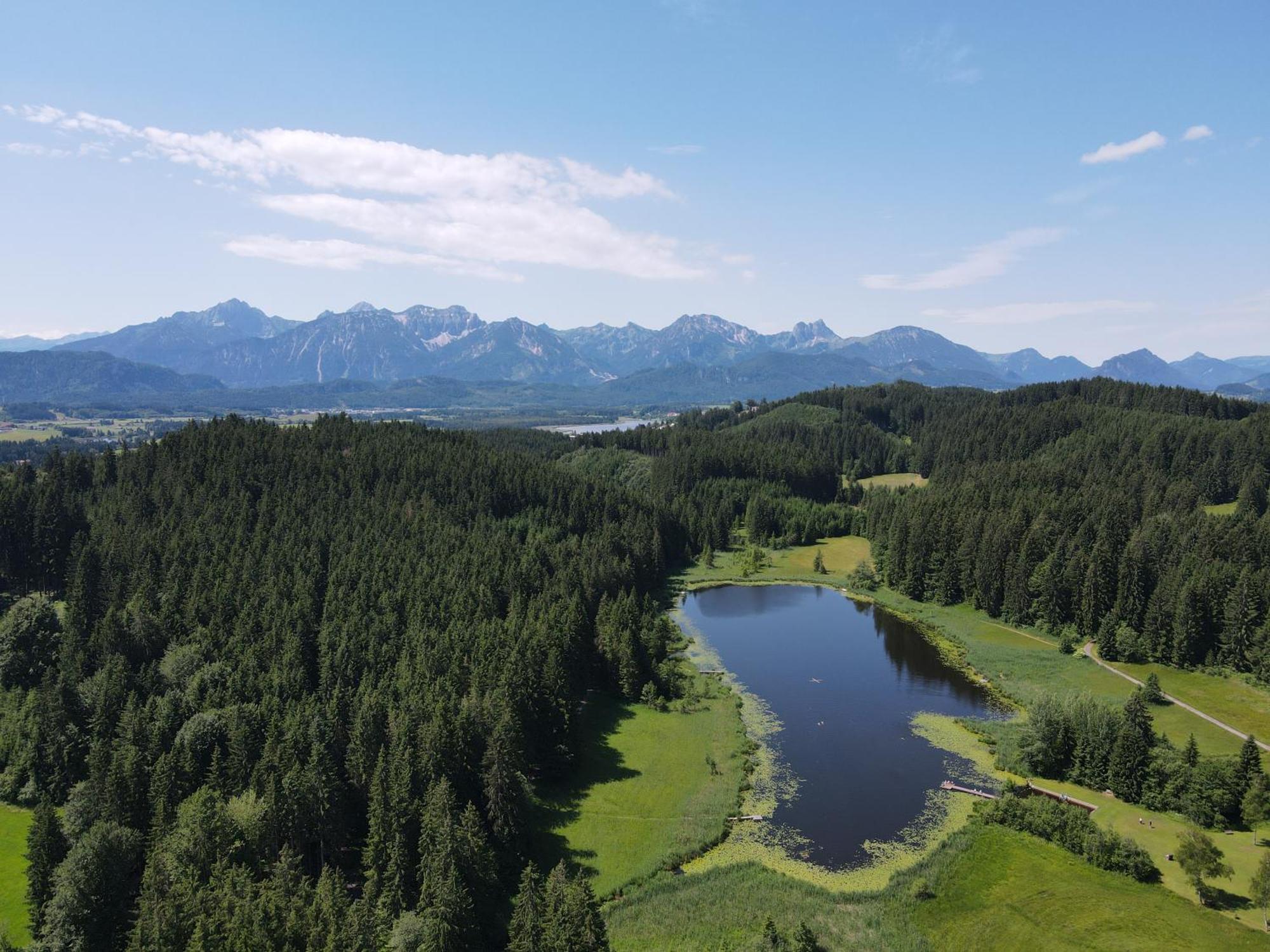 Chalet - Ferienwohnungen - Biohof Stoeger - Panoramasuedbalkon - Grandiose Aussicht Auf See, Berge Und Schloss Neuschwanstein ريدن المظهر الخارجي الصورة