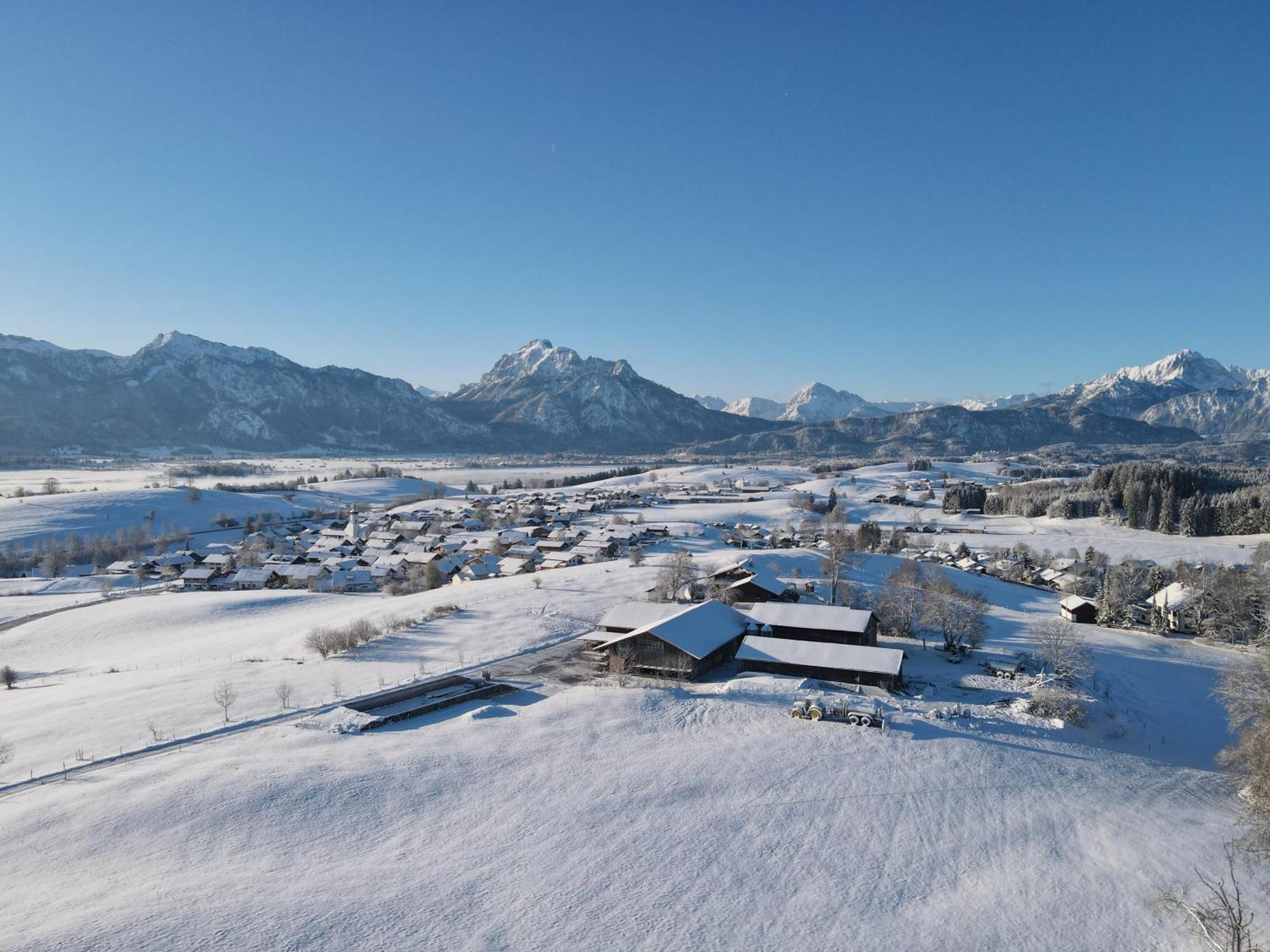 Chalet - Ferienwohnungen - Biohof Stoeger - Panoramasuedbalkon - Grandiose Aussicht Auf See, Berge Und Schloss Neuschwanstein ريدن المظهر الخارجي الصورة