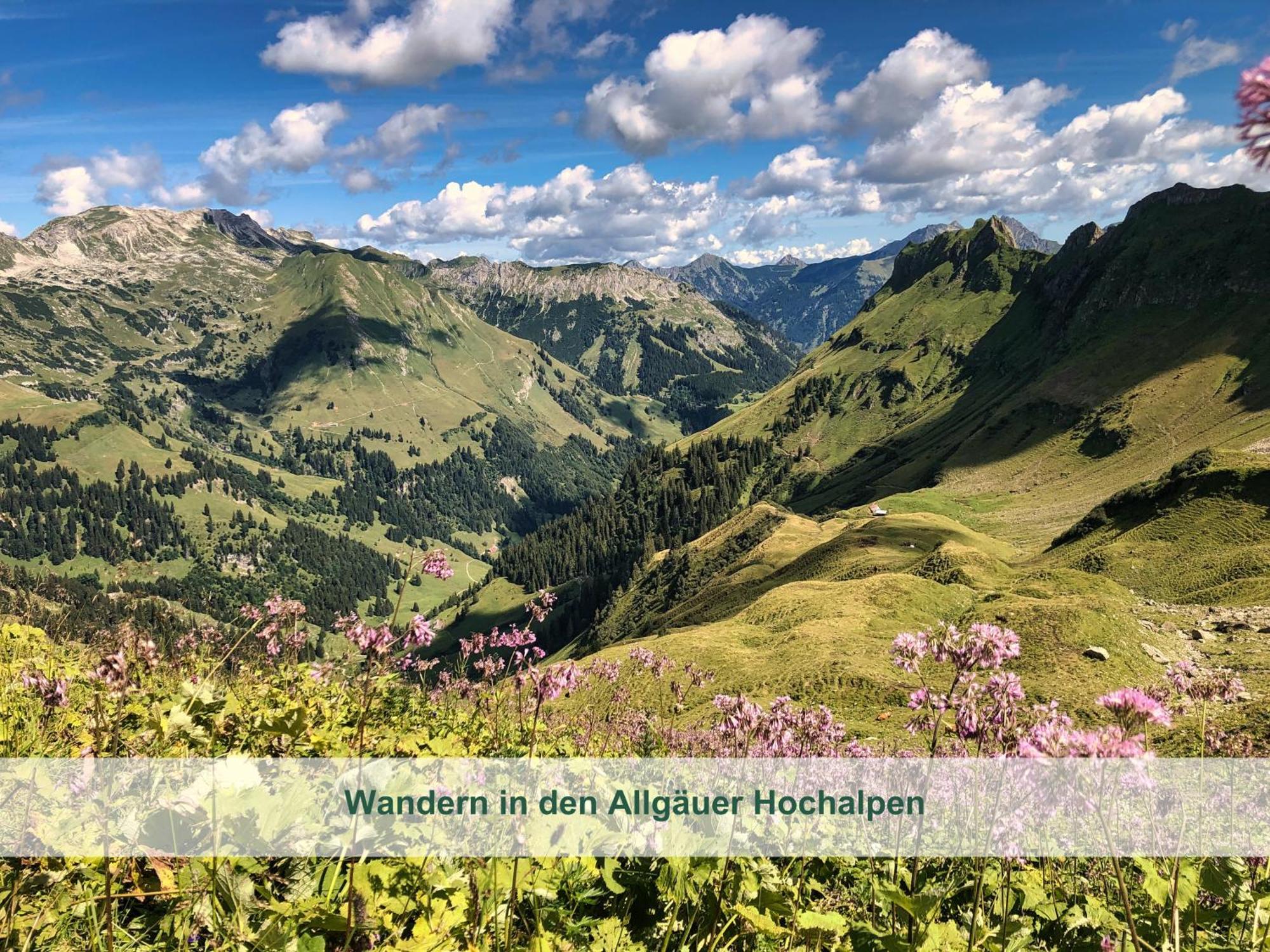 Chalet - Ferienwohnungen - Biohof Stoeger - Panoramasuedbalkon - Grandiose Aussicht Auf See, Berge Und Schloss Neuschwanstein ريدن المظهر الخارجي الصورة
