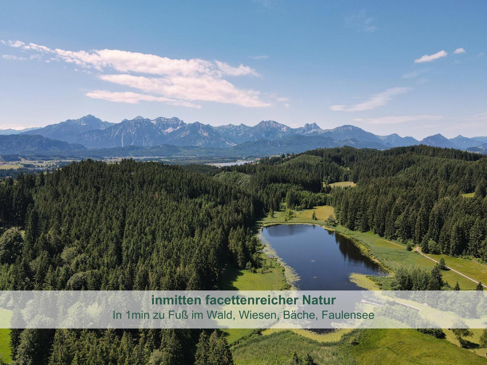 Chalet - Ferienwohnungen - Biohof Stoeger - Panoramasuedbalkon - Grandiose Aussicht Auf See, Berge Und Schloss Neuschwanstein ريدن المظهر الخارجي الصورة