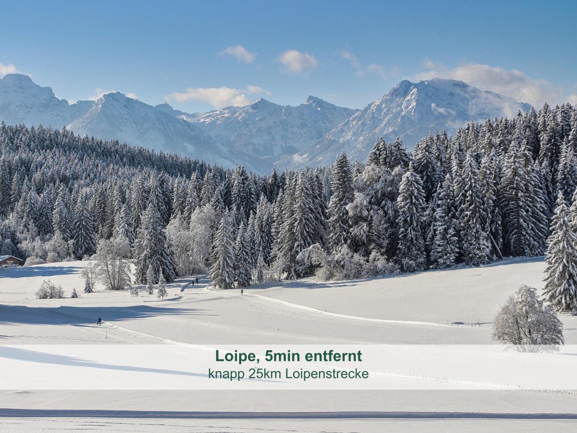 Chalet - Ferienwohnungen - Biohof Stoeger - Panoramasuedbalkon - Grandiose Aussicht Auf See, Berge Und Schloss Neuschwanstein ريدن المظهر الخارجي الصورة