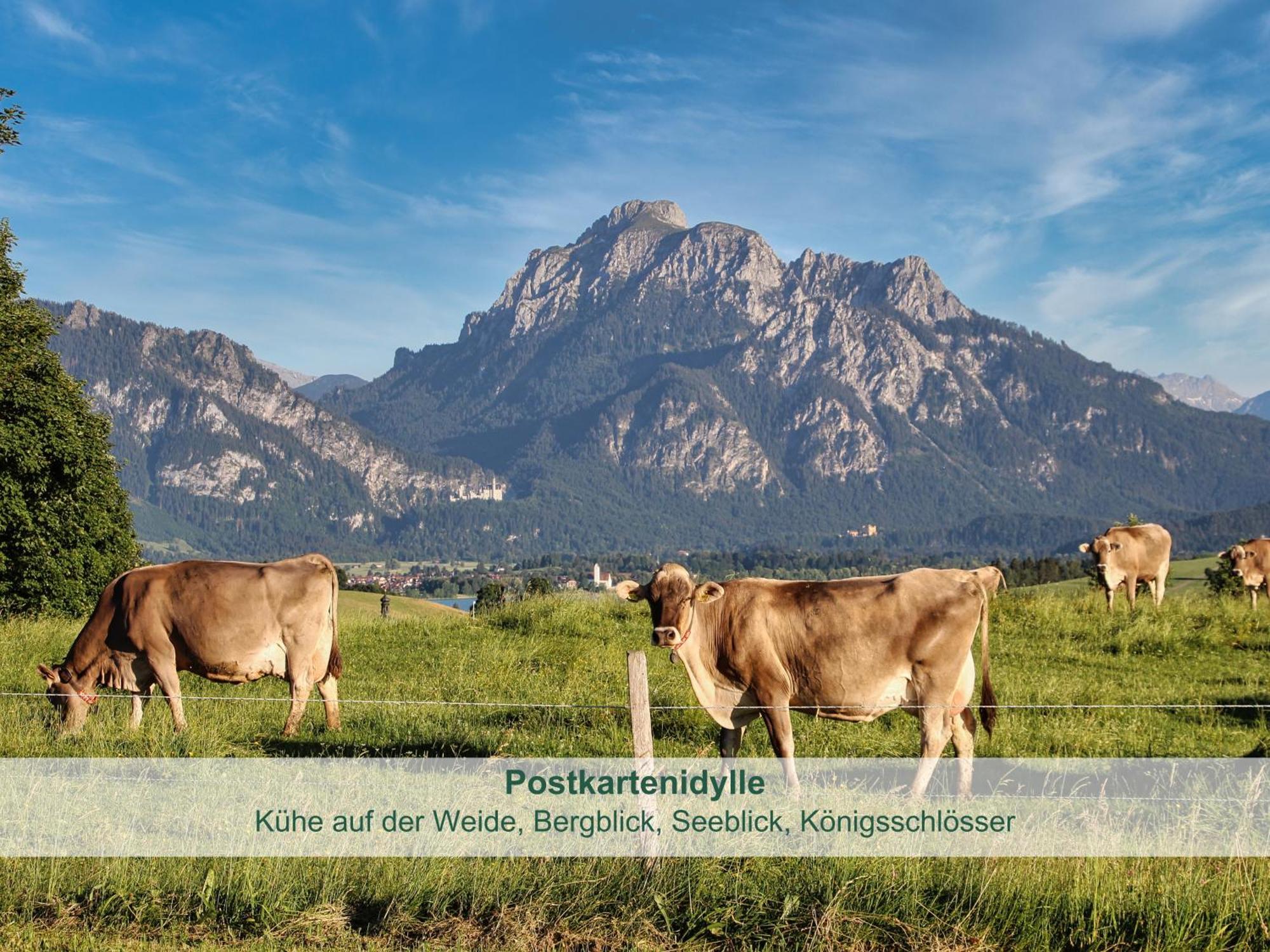 Chalet - Ferienwohnungen - Biohof Stoeger - Panoramasuedbalkon - Grandiose Aussicht Auf See, Berge Und Schloss Neuschwanstein ريدن المظهر الخارجي الصورة