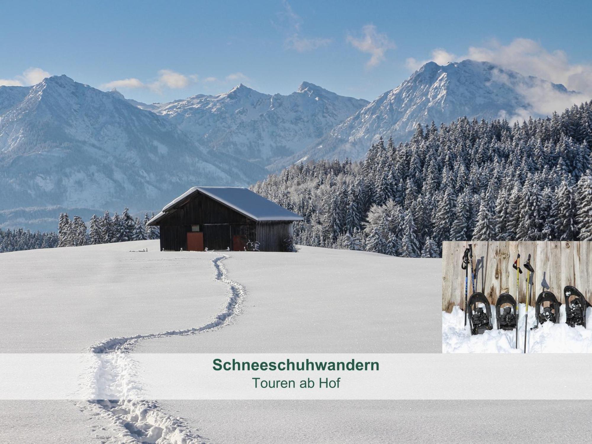 Chalet - Ferienwohnungen - Biohof Stoeger - Panoramasuedbalkon - Grandiose Aussicht Auf See, Berge Und Schloss Neuschwanstein ريدن المظهر الخارجي الصورة