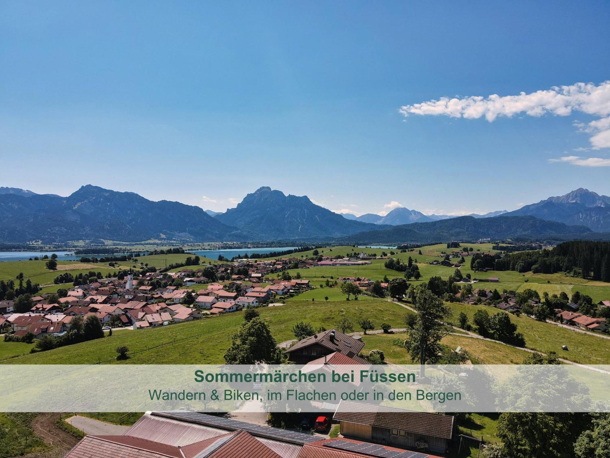 Chalet - Ferienwohnungen - Biohof Stoeger - Panoramasuedbalkon - Grandiose Aussicht Auf See, Berge Und Schloss Neuschwanstein ريدن المظهر الخارجي الصورة