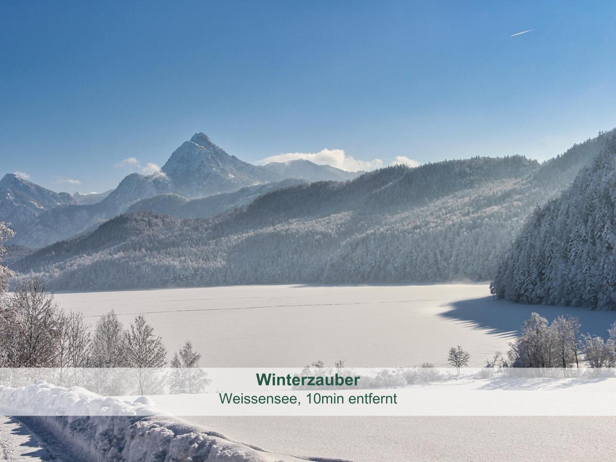 Chalet - Ferienwohnungen - Biohof Stoeger - Panoramasuedbalkon - Grandiose Aussicht Auf See, Berge Und Schloss Neuschwanstein ريدن المظهر الخارجي الصورة